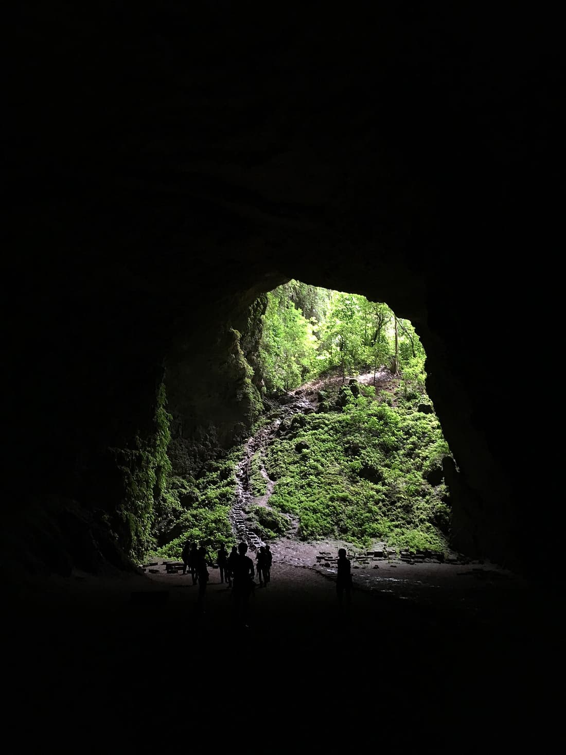 Looking from the dark tunnel back to the forest on the floor of the Jomblang sinkhole
