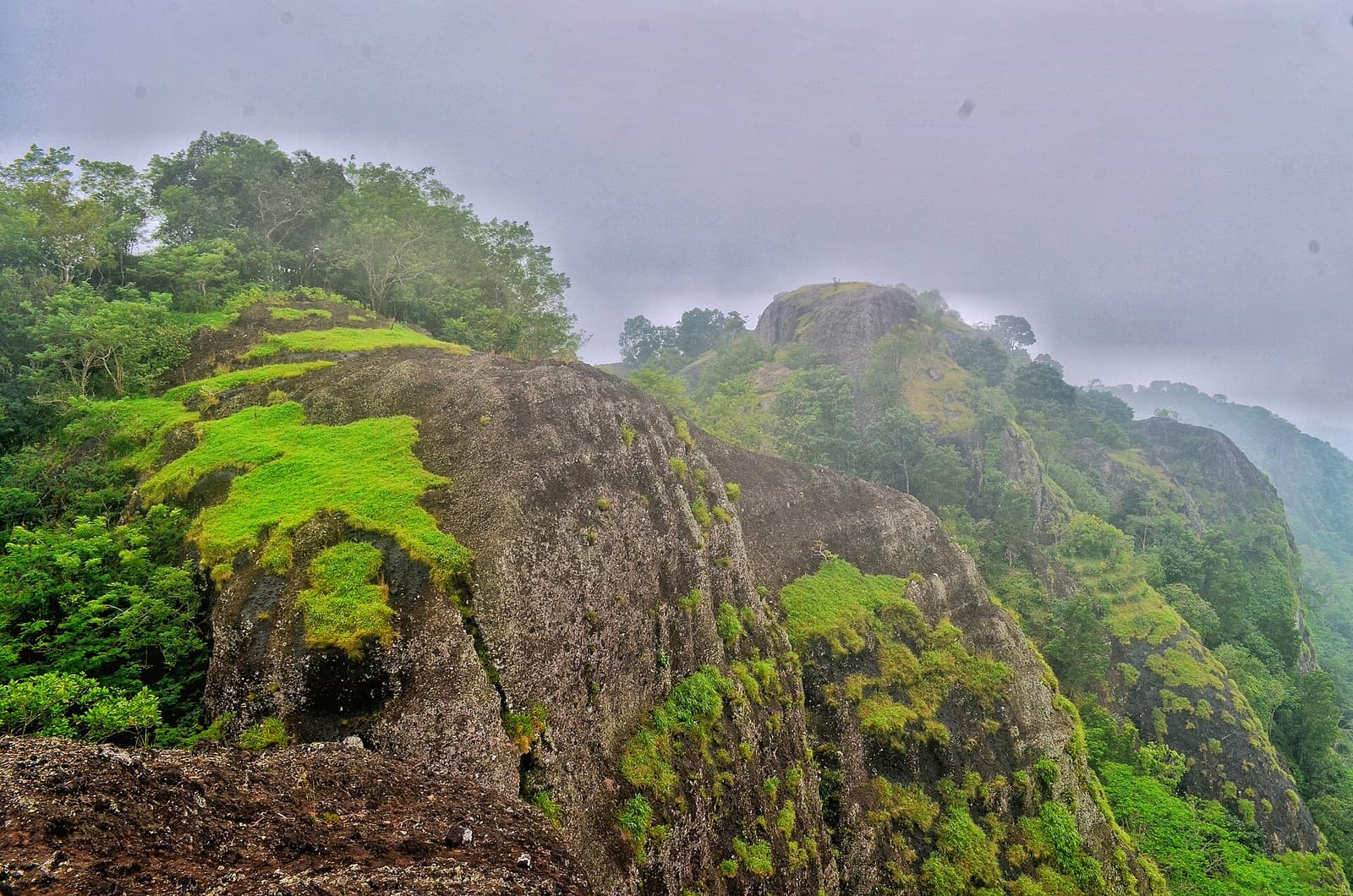 The moss-covered rock domes of the Nglanggeran ancient volcano in the mist