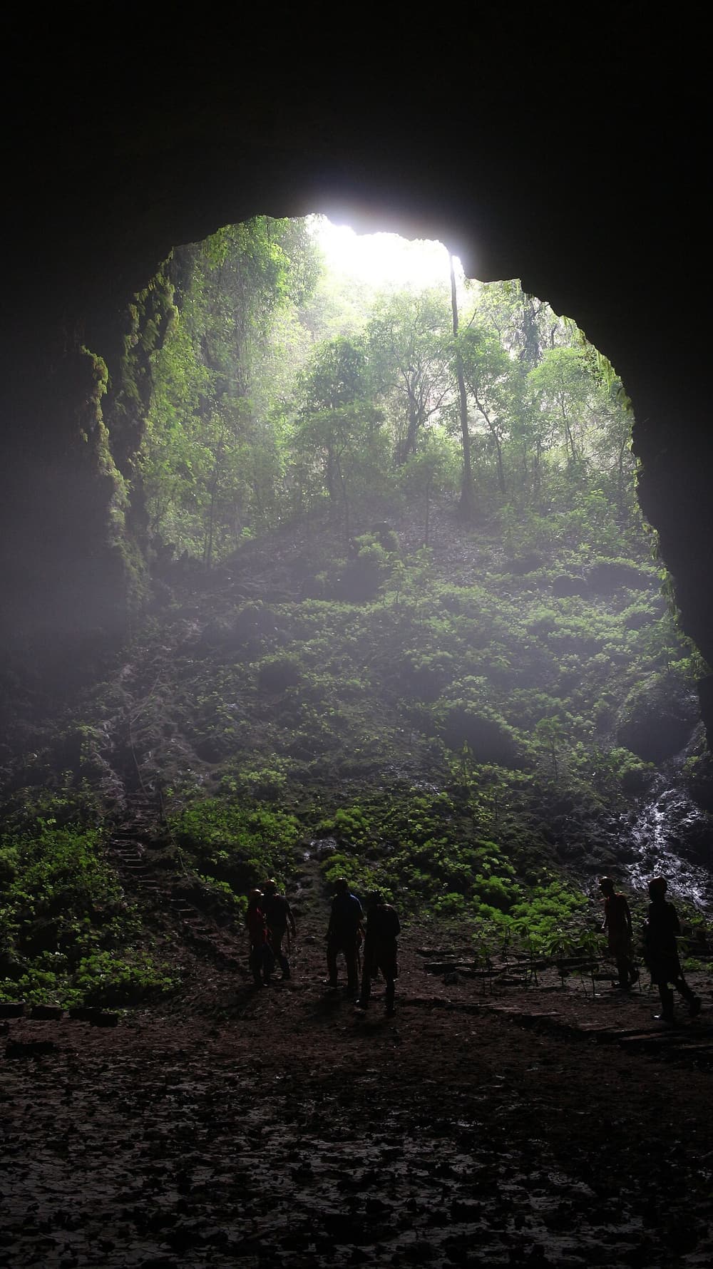 Visitors silhouetted in the tunnel mouth with the green sinkhole beyond