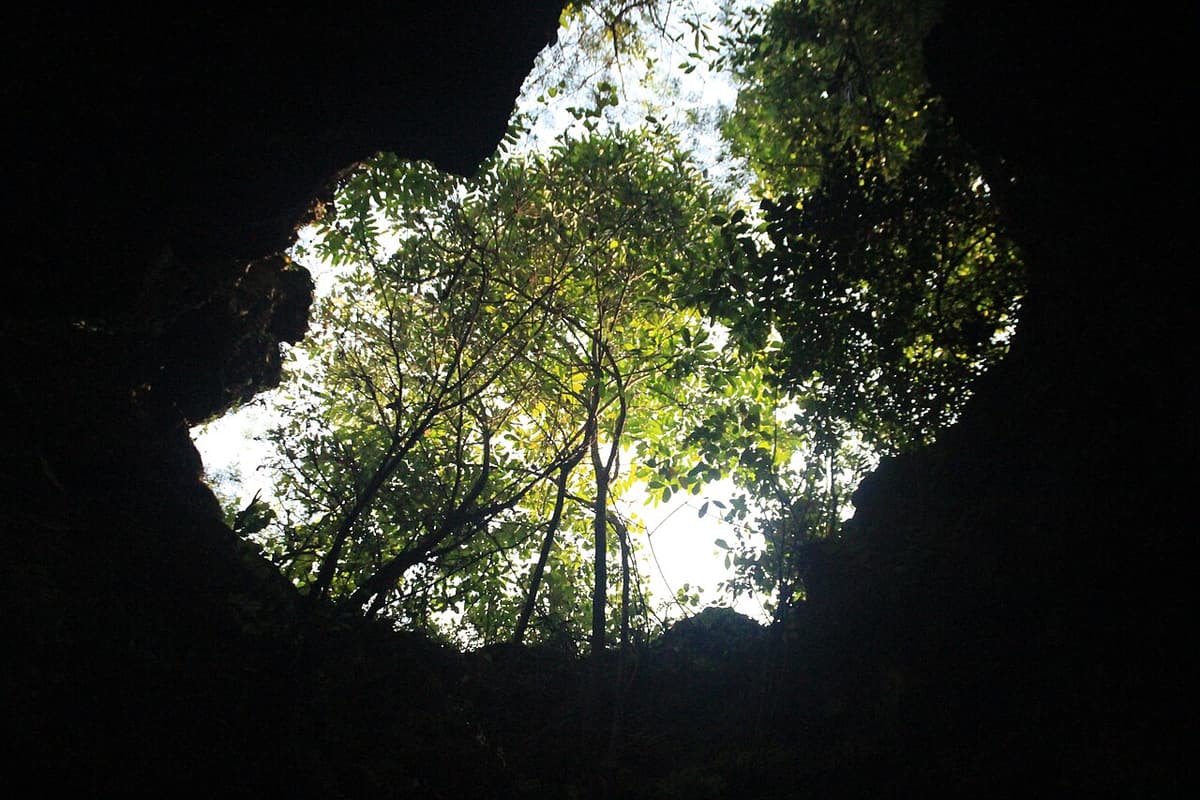 Daylight pouring through a hole in the roof of Pindul Cave above the underground river